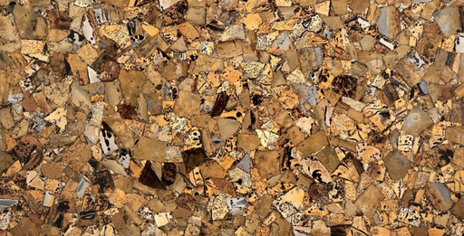 Grass Fossil 670 00 (Compound With Granit)