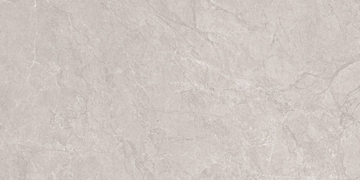 Aristo Grey Tm 60x120 Aristo Grey Tm 60x120