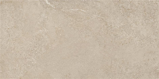 Arenite Natural Matt. 60x120