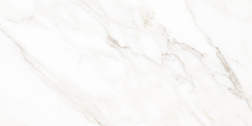 Calacatta Classic Dg Carving 60x120 Calacatta Classic Dg Carving 60x120