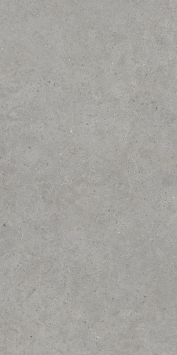KINSTONE MIST RECT 60X120