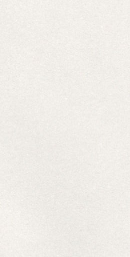 CAPRICE WHITE RECT 60X120