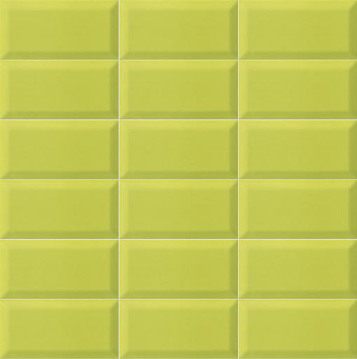 Bissel Y-Green 10x20