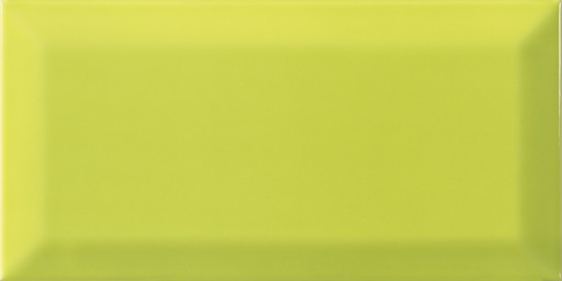 Bissel Y-Green 10x20
