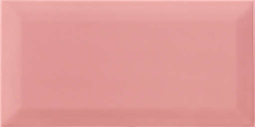 Bissel Pink 10x20