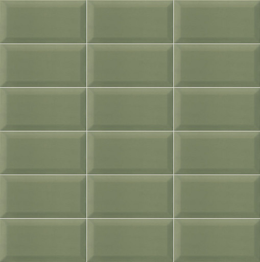 Bissel G-Olive 10x20