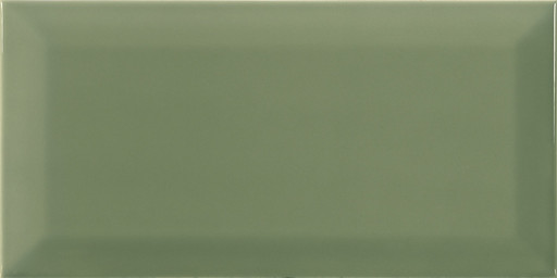 Bissel G-Olive 10x20