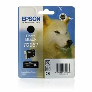 Epson C13T09614010 T0961 картридж для Stylus Photo R2880 photo black оригинал ресурс 11,1ml 495 страниц